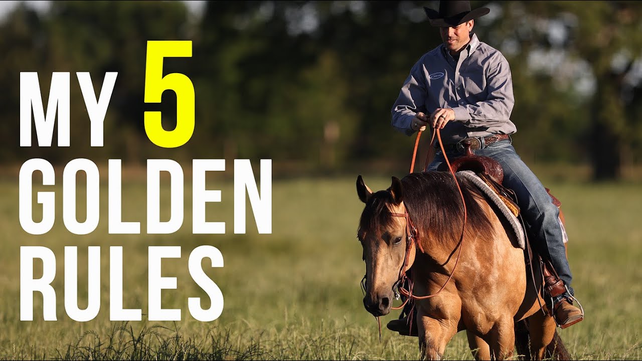 My 5 GOLDEN RULES For Riders & Horse Trainers - Live From Waco, TX