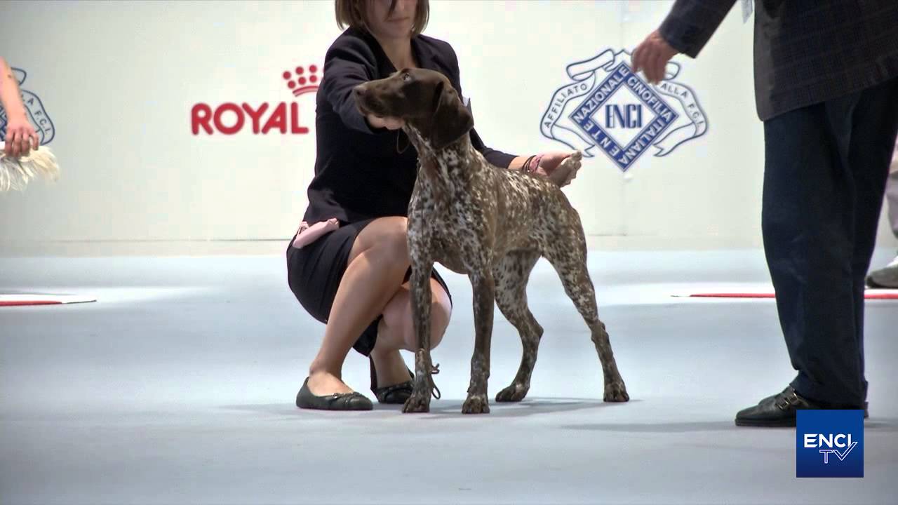 WDS Giovedì  Jr Group 7