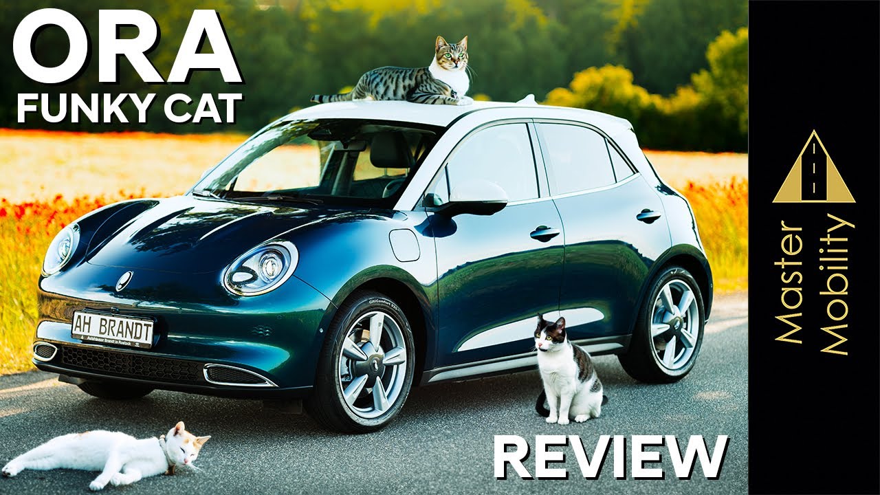 HAUS- oder RAUBKATZE?! Das PreisWUNDER im großen REVIEW - GWM ORA 03 - Funky Cat | 
