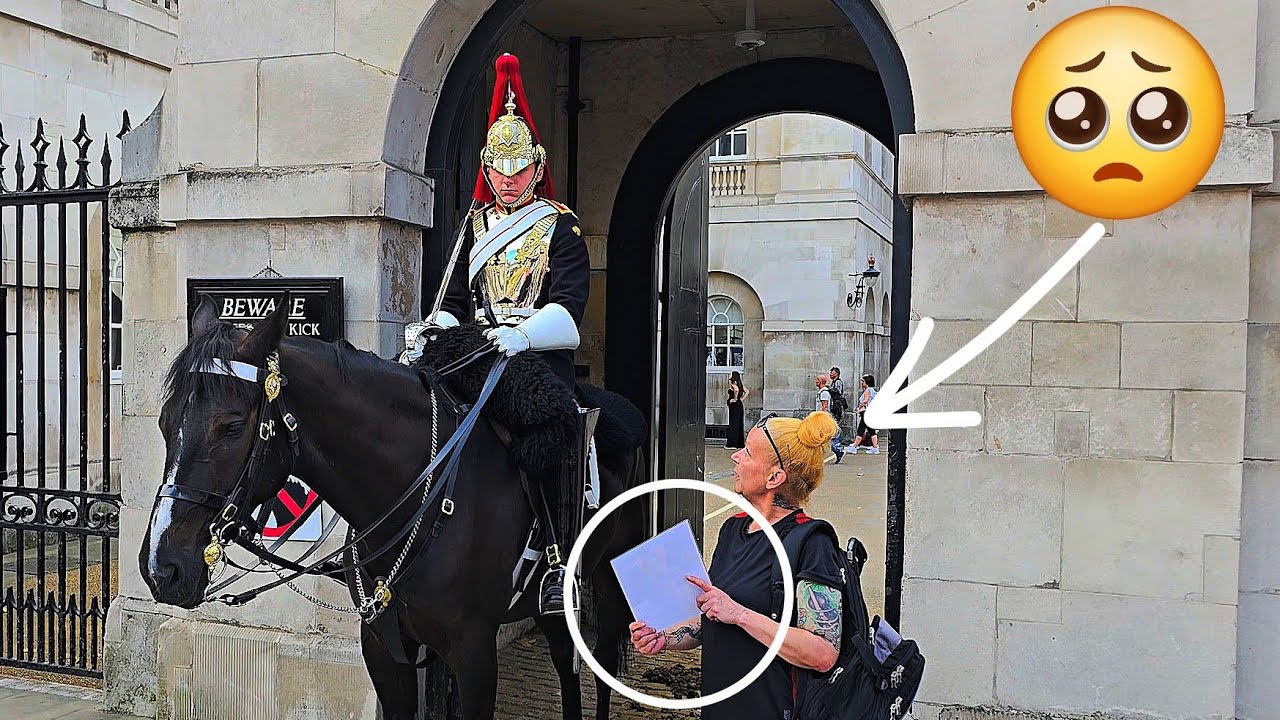 A Gentle Gestures of Kindness: King's Guard Allows Tourist to Do This at Horse Guards in London
