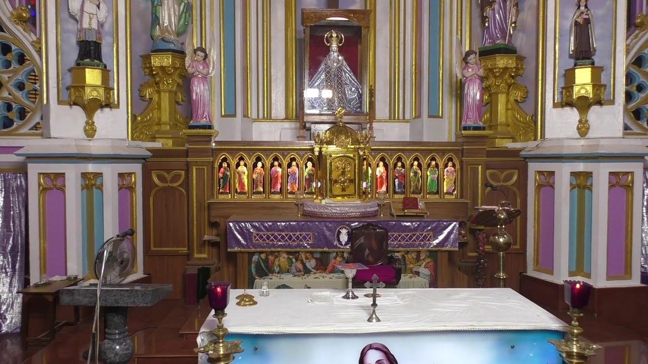༺♰༻ 🅛🅘🅥🅔 𝑽𝒂𝒅𝒂𝒗𝒂𝒊 𝑷𝒂𝒓𝒂𝒍𝒐𝒈𝒂 𝑴𝒂𝒕𝒉𝒂 - Festival Mass in Tamil -  2025 - திருப்பலி