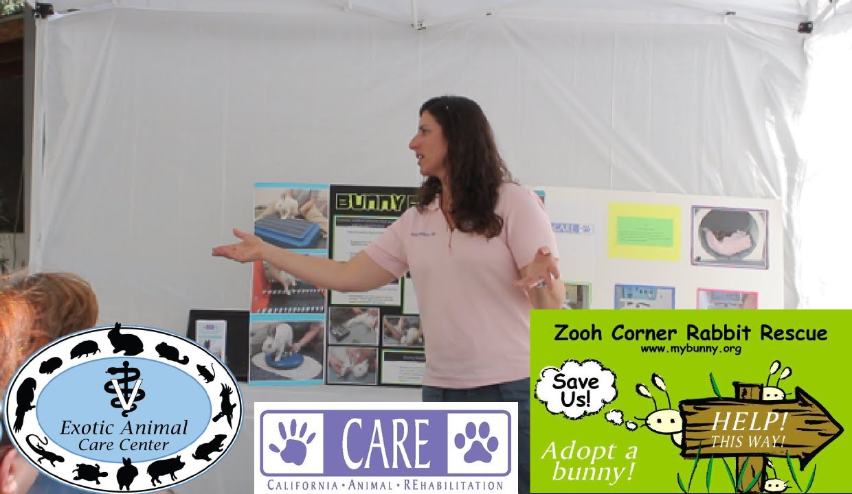 Elderly & Disabled Rabbits 3 - CARE Overview