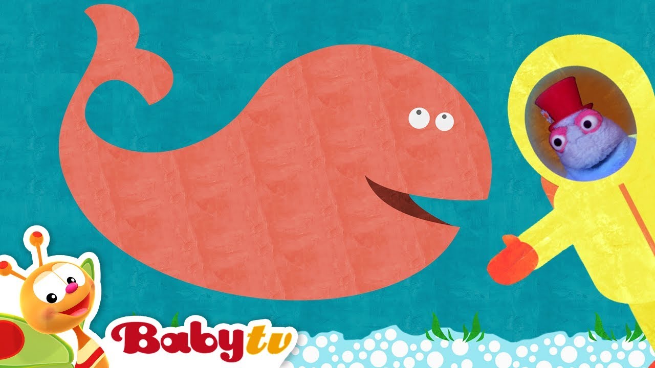 Funny Kids Video of Animals, Cars and Music | 1 Hour Compilation | @BabyTV