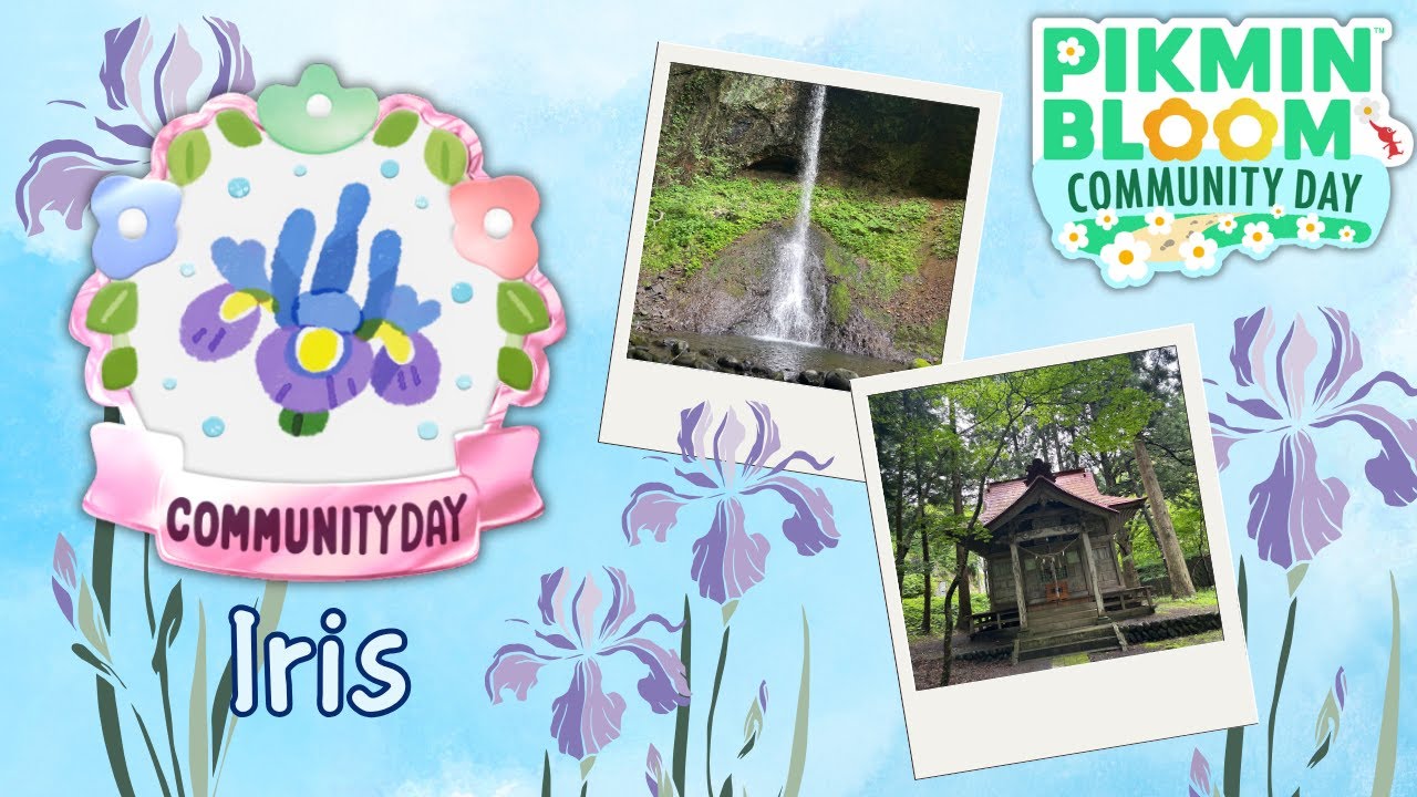 Iris Community Day, June 2025 【Pikmin Bloom】