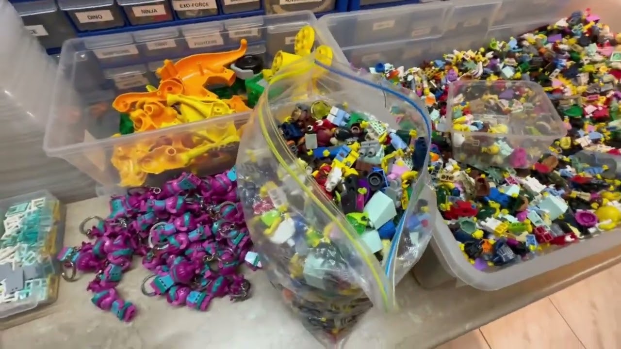 20 Pounds of Minifigures, The Merge Begins, and Archiving! | Bricklink Vlog #161