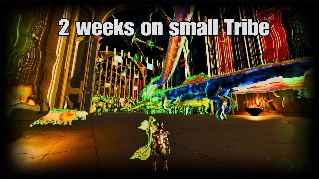 2 weeks on small Tribe lost colony