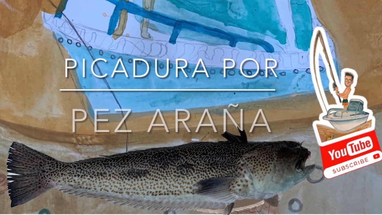 Picadura por Pez Araña