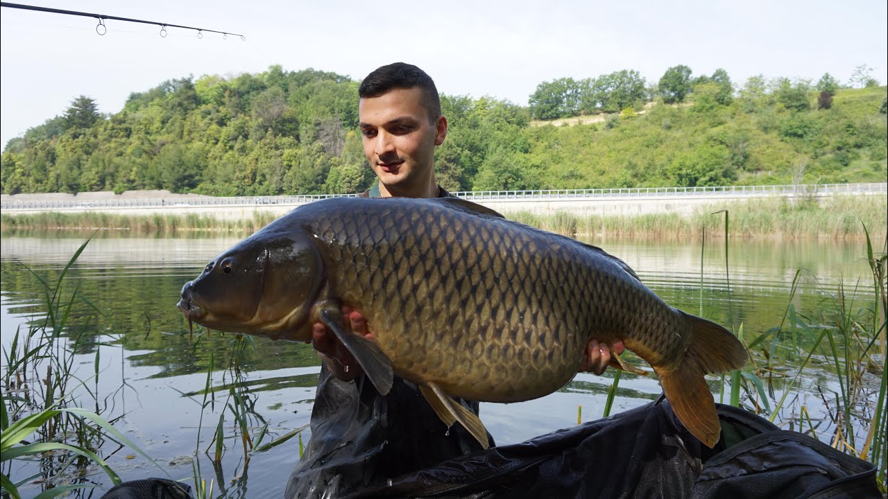 24 h Di Colori - Marginal Carpfishing -