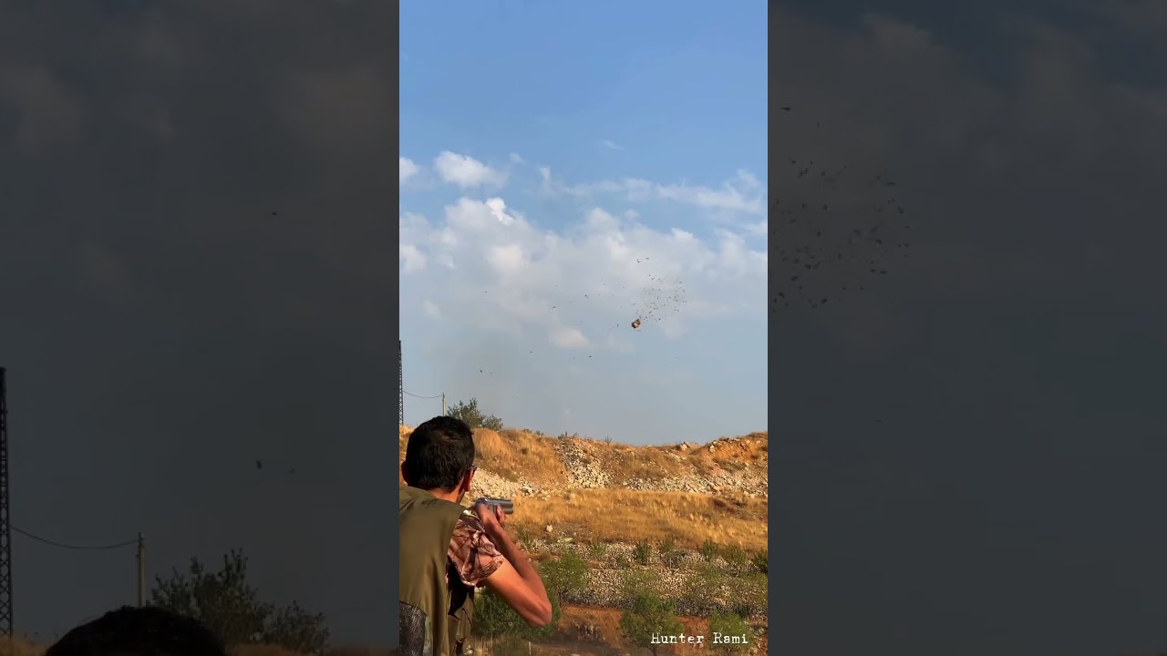 BOUMM ❤️&zwj;🔥 #birds #kite