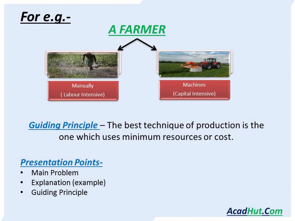 Central Problems of Economy