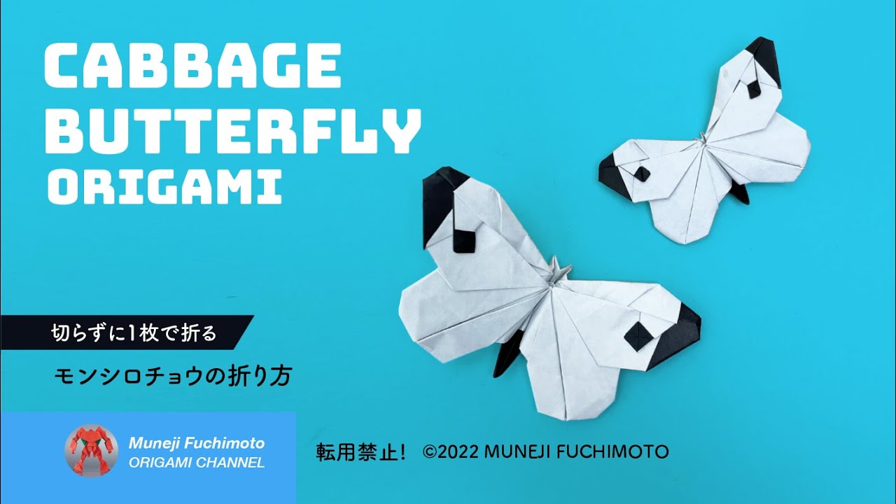 「折り紙」モンシロチョウ（cabbage butterfly）の折り方