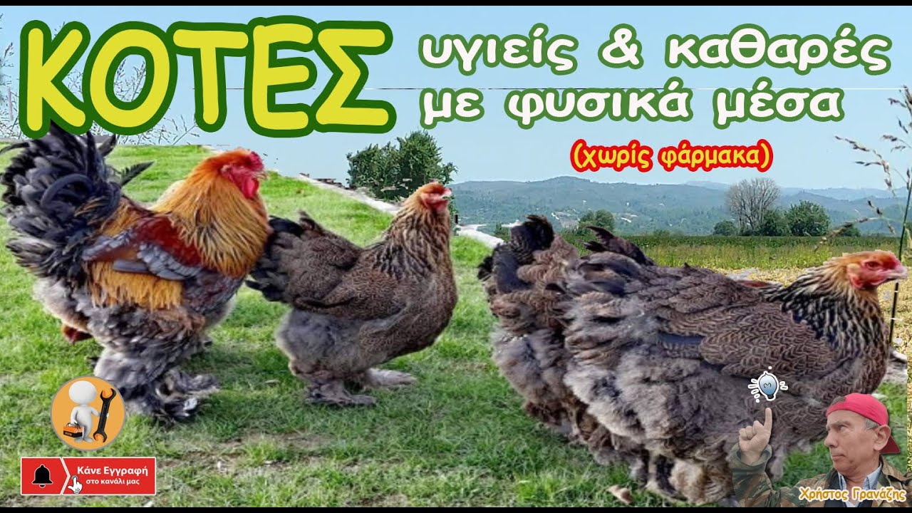 𝚱𝚶𝚻𝚬𝚺: 𝛖𝛄𝛊𝛆ίς & 𝛋𝛂𝛉𝛂𝛒ές με φυσικά μέσα (𝝌𝝎𝝆ίς 𝝋ά𝝆𝝁𝜶𝜿𝜶)