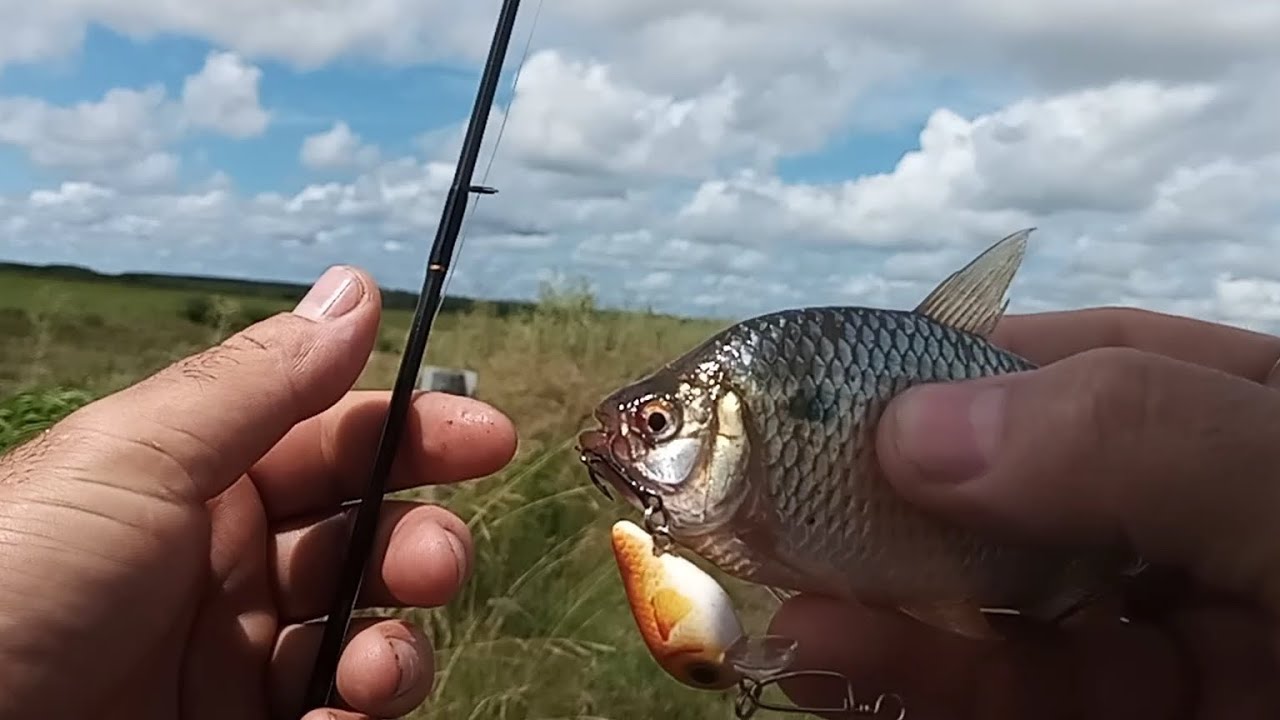 PESCA ULTRALIGHT en primera persona¡¡¡
