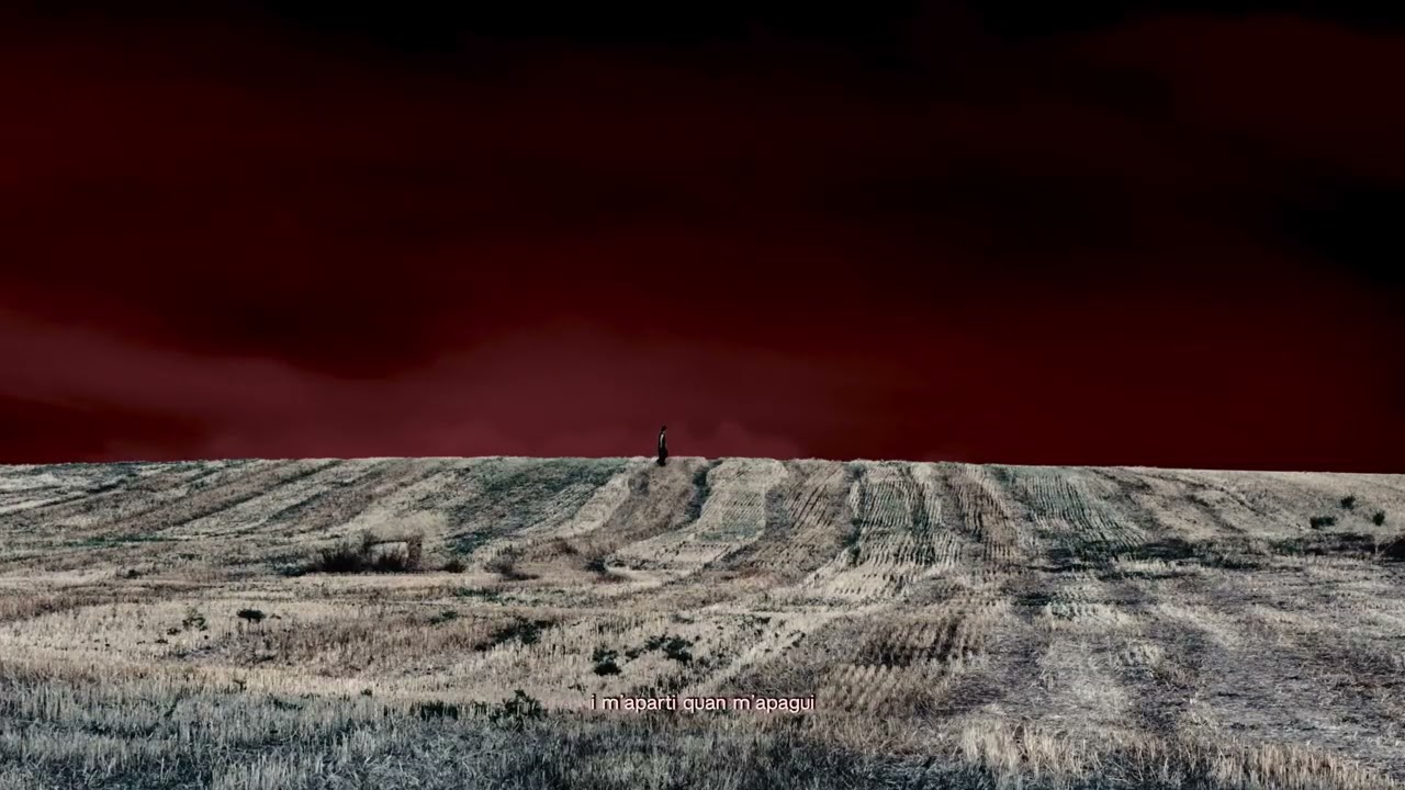 Triquell - ...i bona sort (Visualizer)