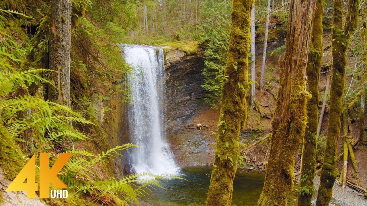 Beauty of Canadian Nature - 4K Relaxation Film - Rivers and Waterfalls of Vancouver Island - Part #6