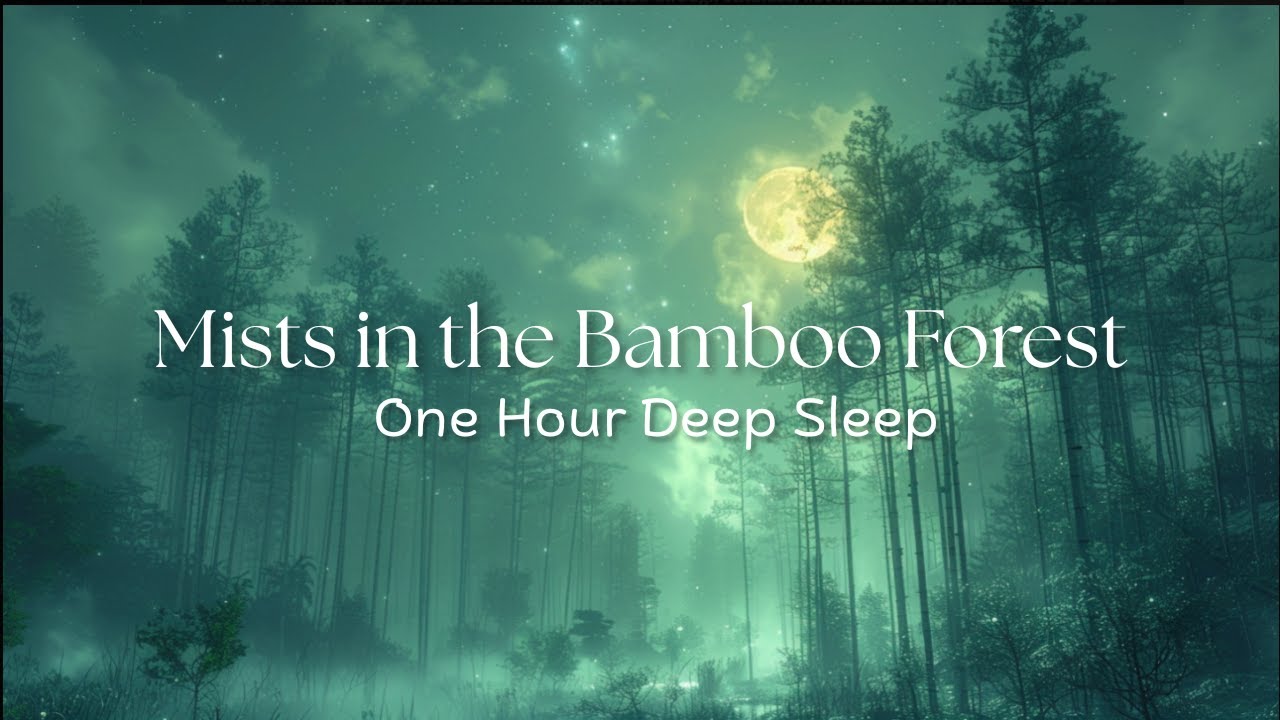 Mists in the Bamboo Forest - Music to help you drift off to sleep.