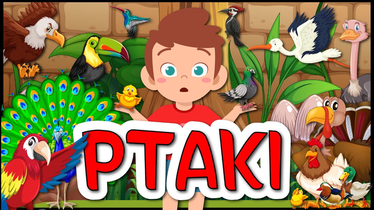 Karolek i Ptaki film edukacyjny dla dzieci🐦🐦🐦
