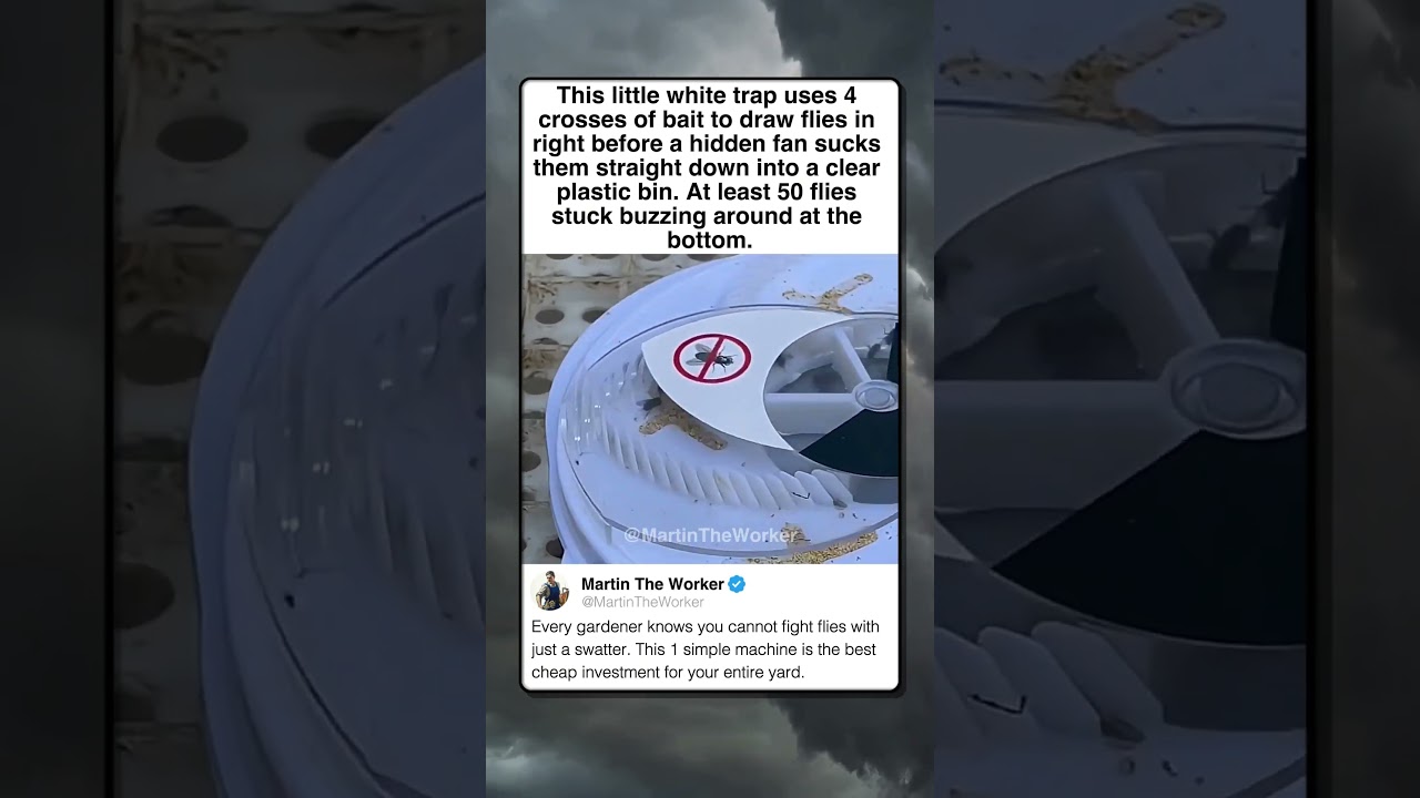 THE BEST CHEAP TOOL FOR GARDEN PESTS