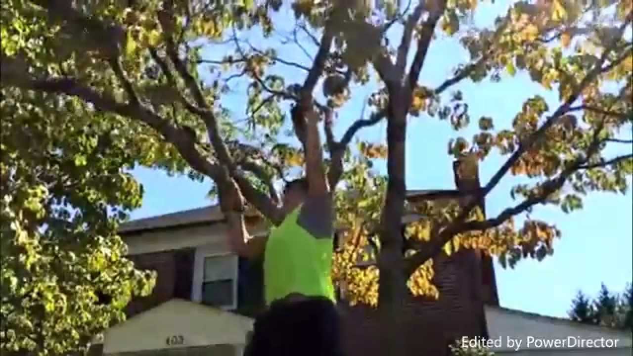 Aaron Chan - Explosive Training