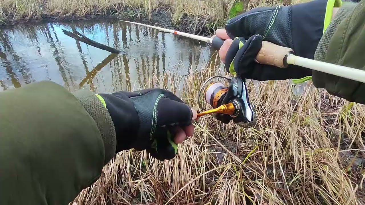 Форель, ручей и браконьеры.
