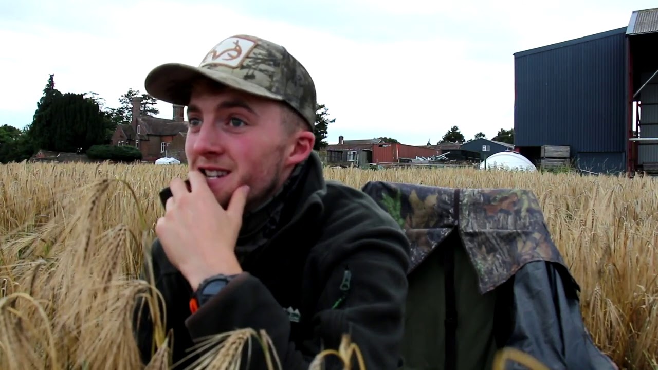 The Airgun Show – corvid and pigeon control with the Walther Reign, PLUS scope-cam filming gear…