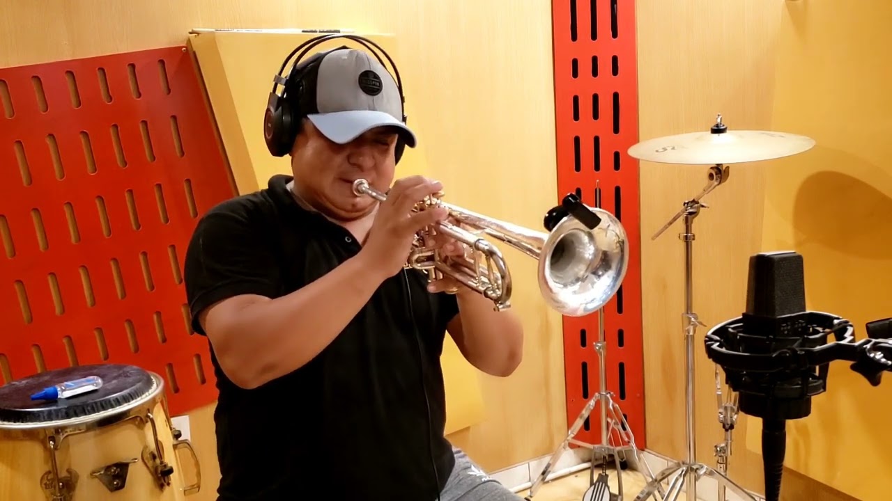 PEQUEÑA FLOR - COVER - DIBU TRUMPET - TEMA DEL MAESTRO  Horst Fischer y Werner Müller