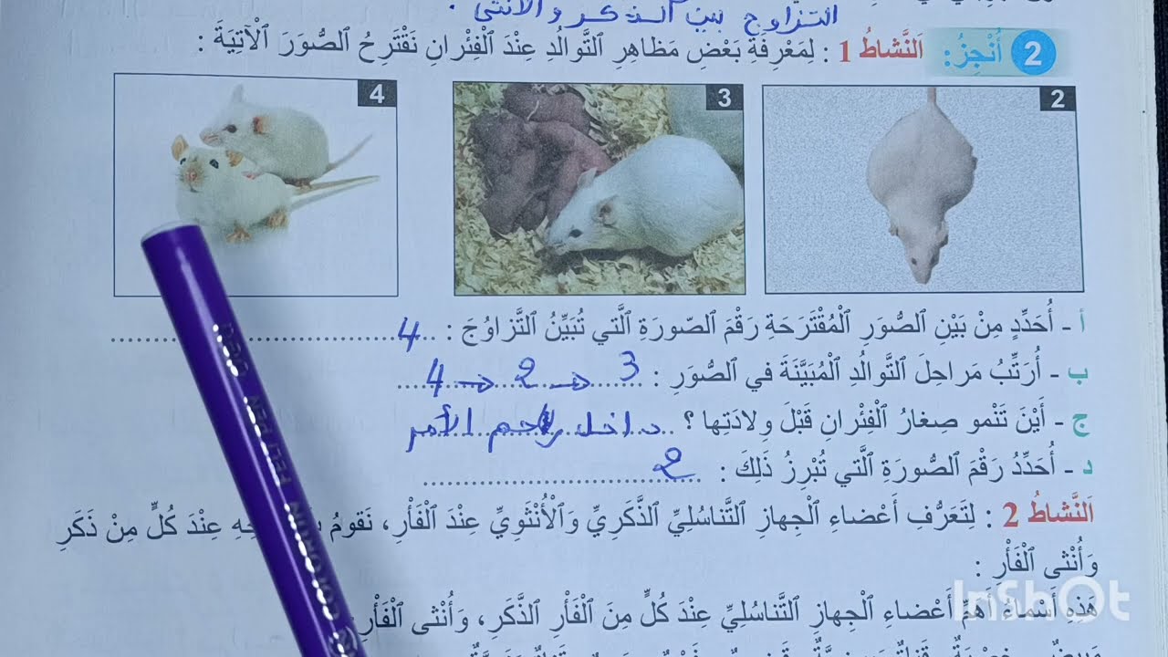 التوالد عند الحيوانات الولودة المنير في النشاط العلمي المستوى الخامس الصفحة 58-59