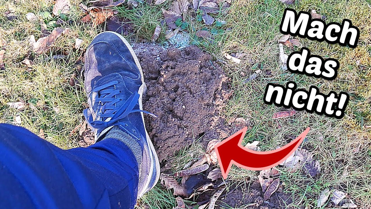 Warum du Maulwurfshügel nicht platt machen solltest!
