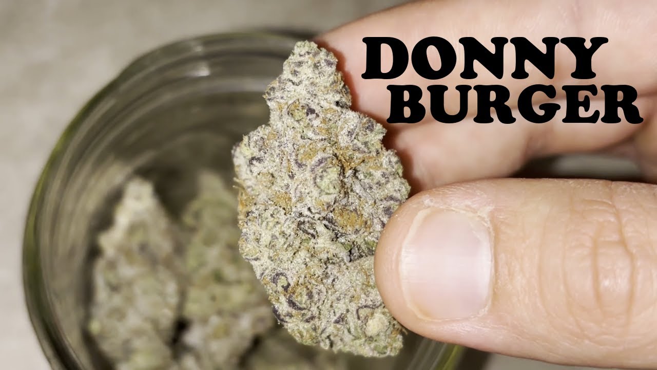 Donny Burger Strain