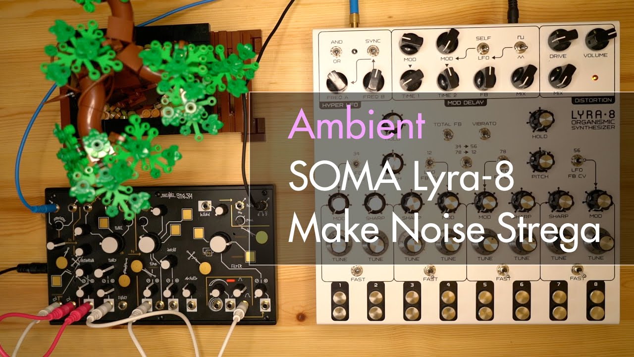 Ambient | Make Noise Strega, SOMA Lyra-8
