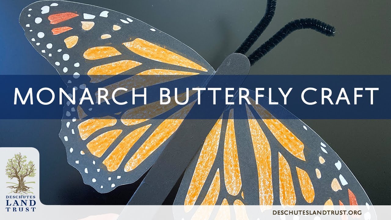Nature Crafts: Make Your Own Monarch Butterfly