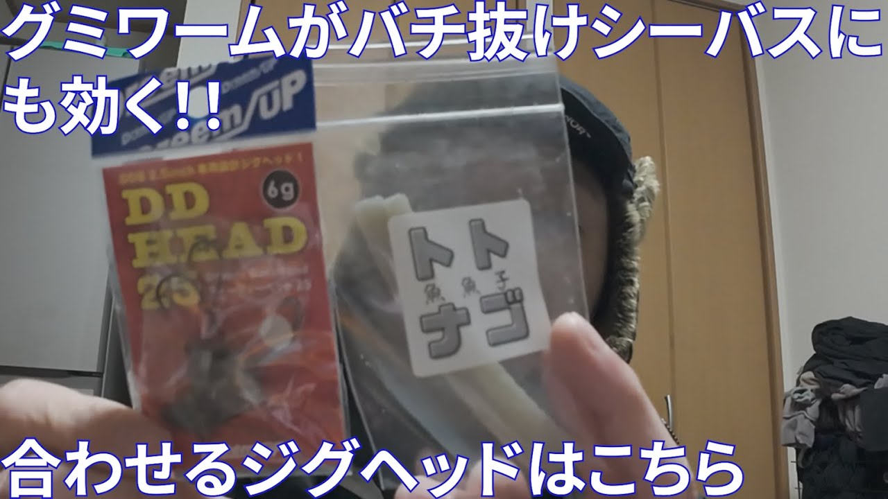 【グミワーム】バチ抜け開幕！？バチの姿は見えなくてもバチを食べてるシーバスはいるということが分かりました【鶴見川】