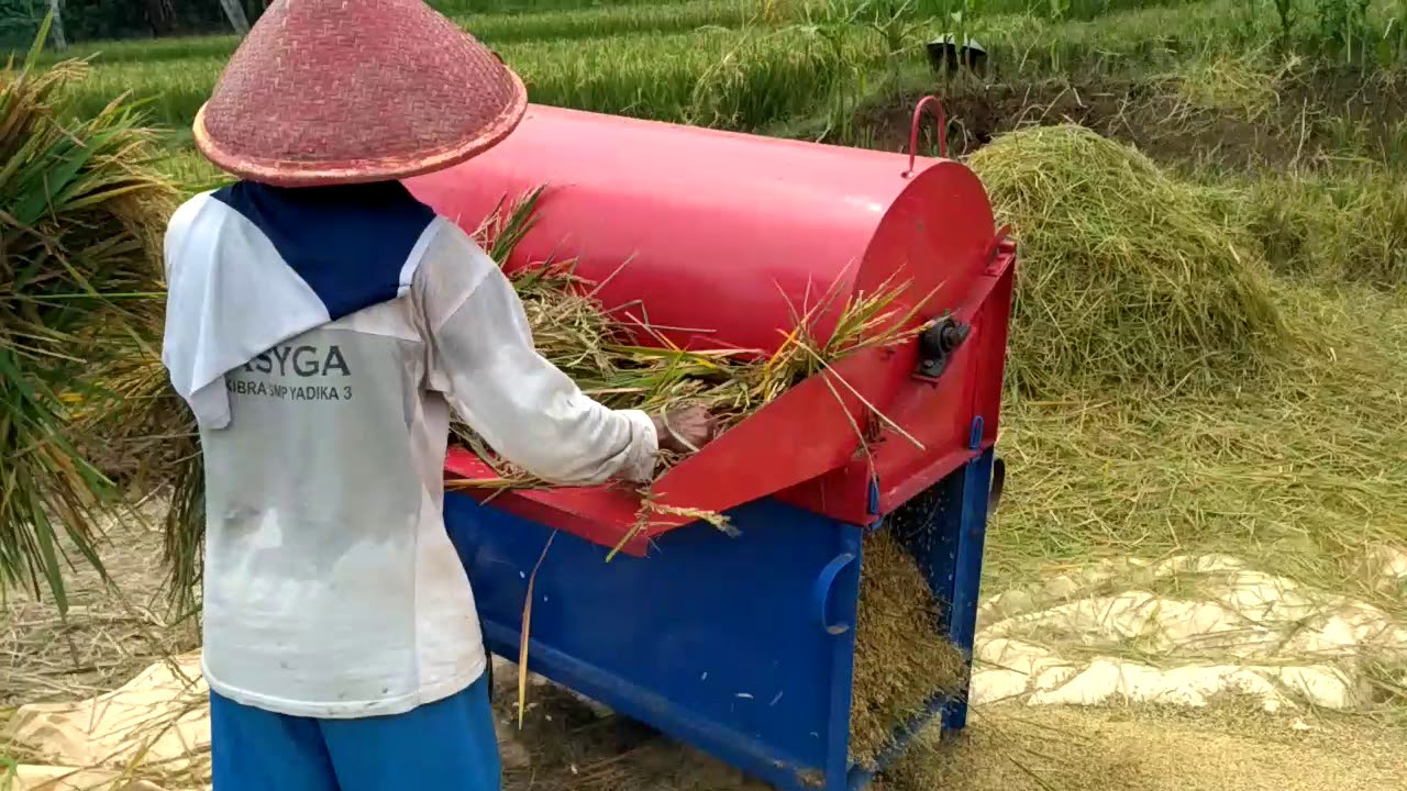 Tes mesin perontok padi/tresher