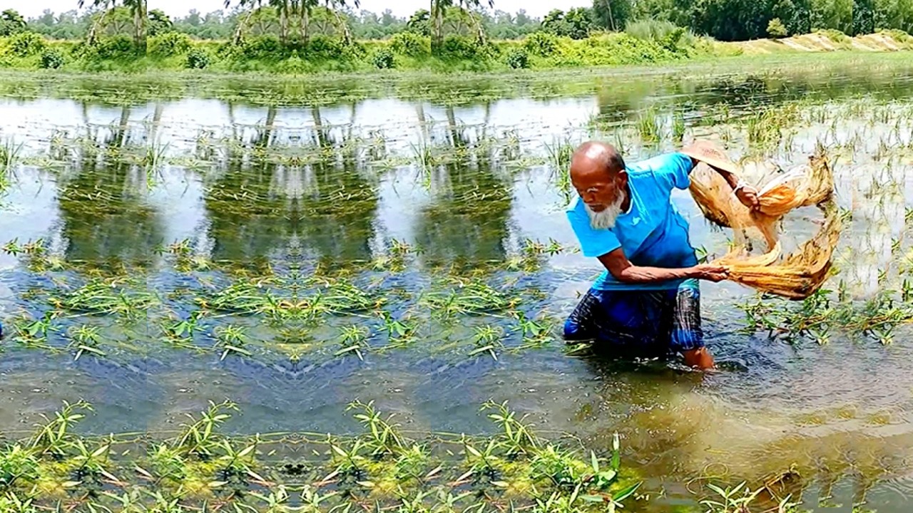 Amazing Net Village Fishing Video - Most Amazing Cast Net Throws - Best Fishing Video in Village
