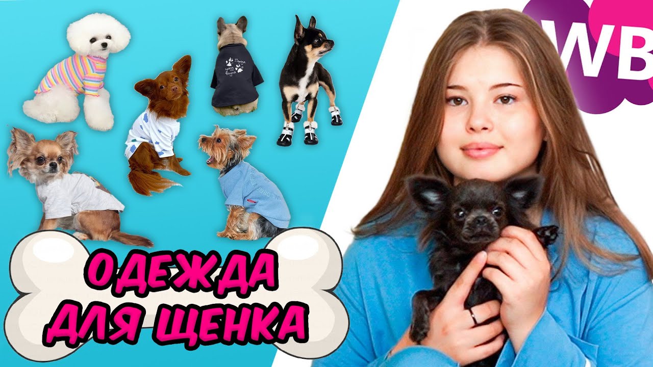 WILDBERRIES. РАСПАКОВКА для ЩЕНКА 🐶