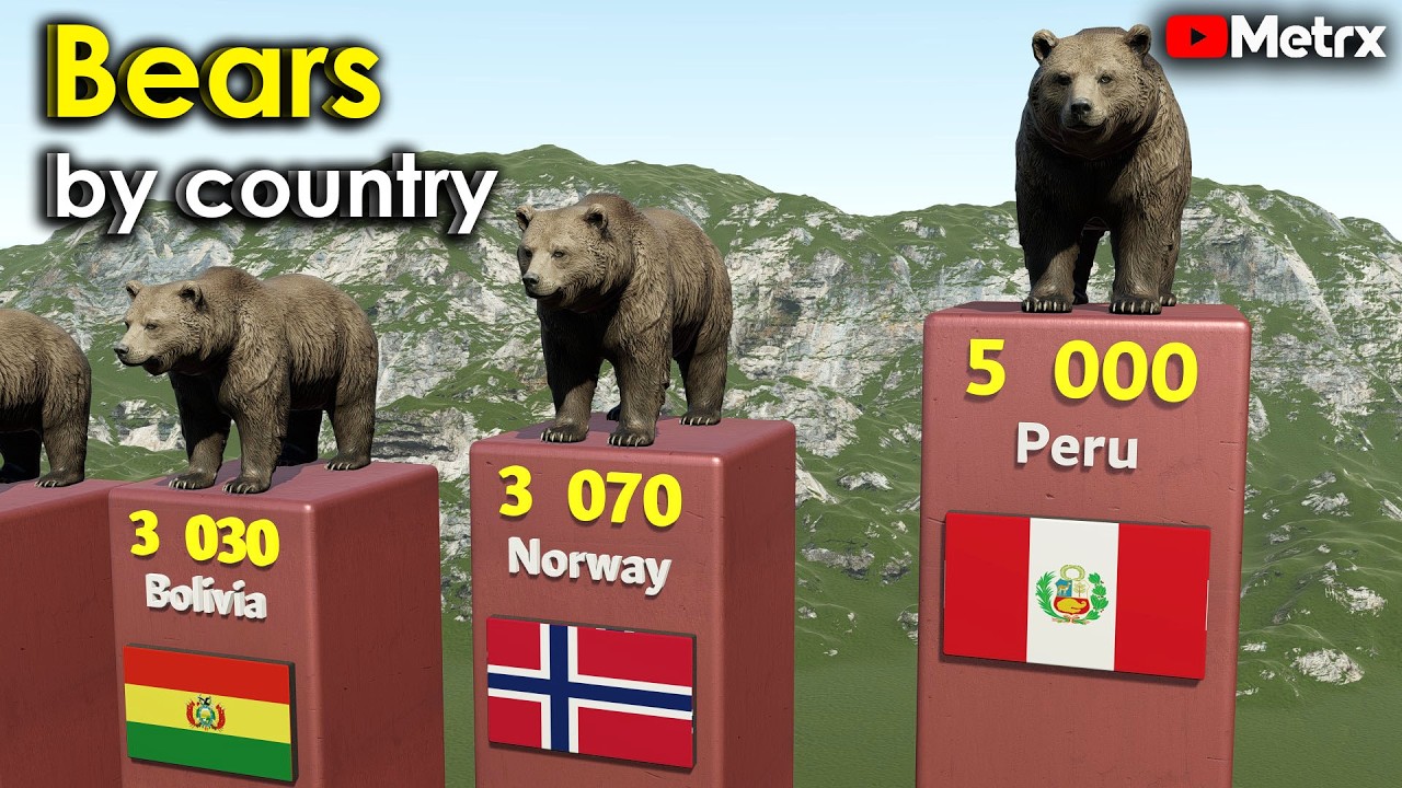 Top Countries With The Most Bears (2026)