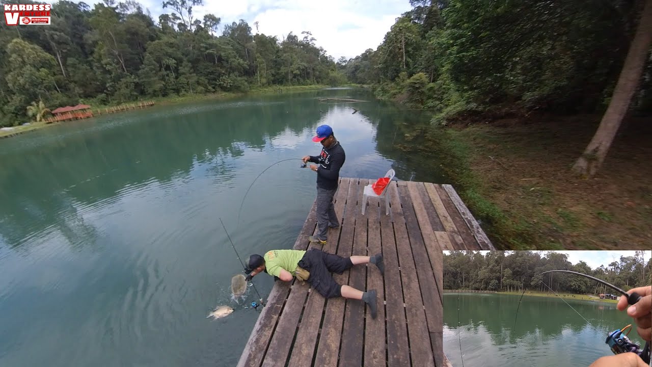 Ultralight Fishing Giant Piranha[Pacu Empangan Air Kuning]