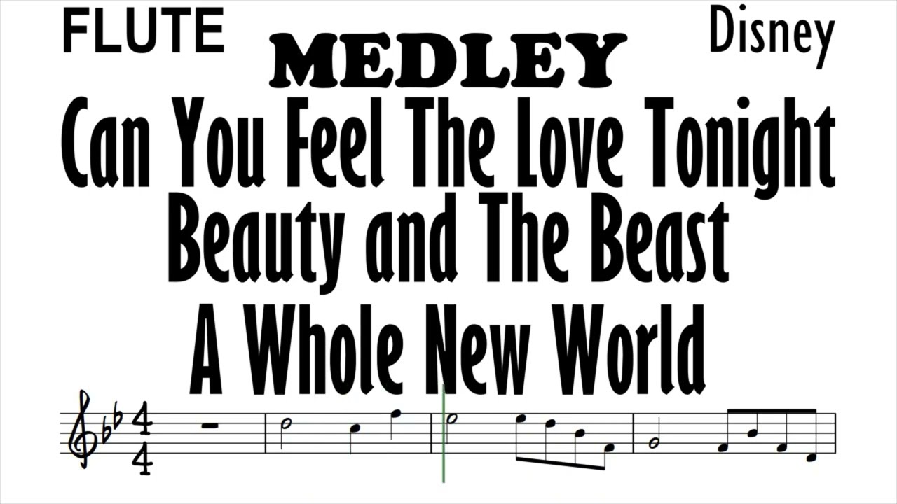MEDLEY Flute Can You Feel the Love Tonight Beauty and the Beast A Whole New World Sheet Partitura