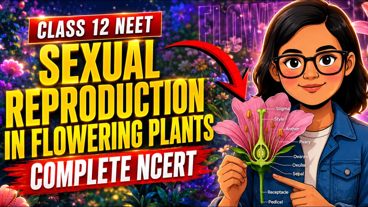 Class 12 Sexual reproduction in flowering plant detailed ONESHOT 🔥