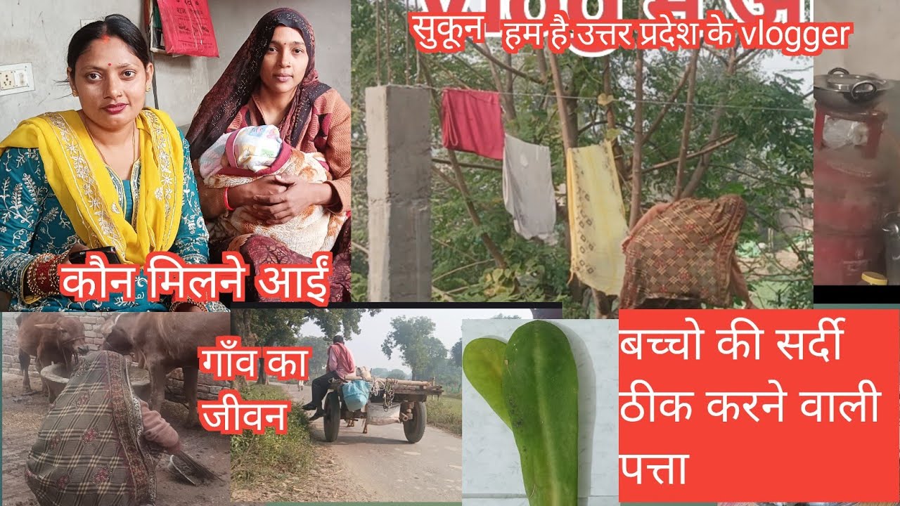 गाँव का मेरा सुकून भरा जीवन 😄5 बजे सुबह से delivery ke bad ka Mera dincharya 2 माह की beti ले😀#vlog 