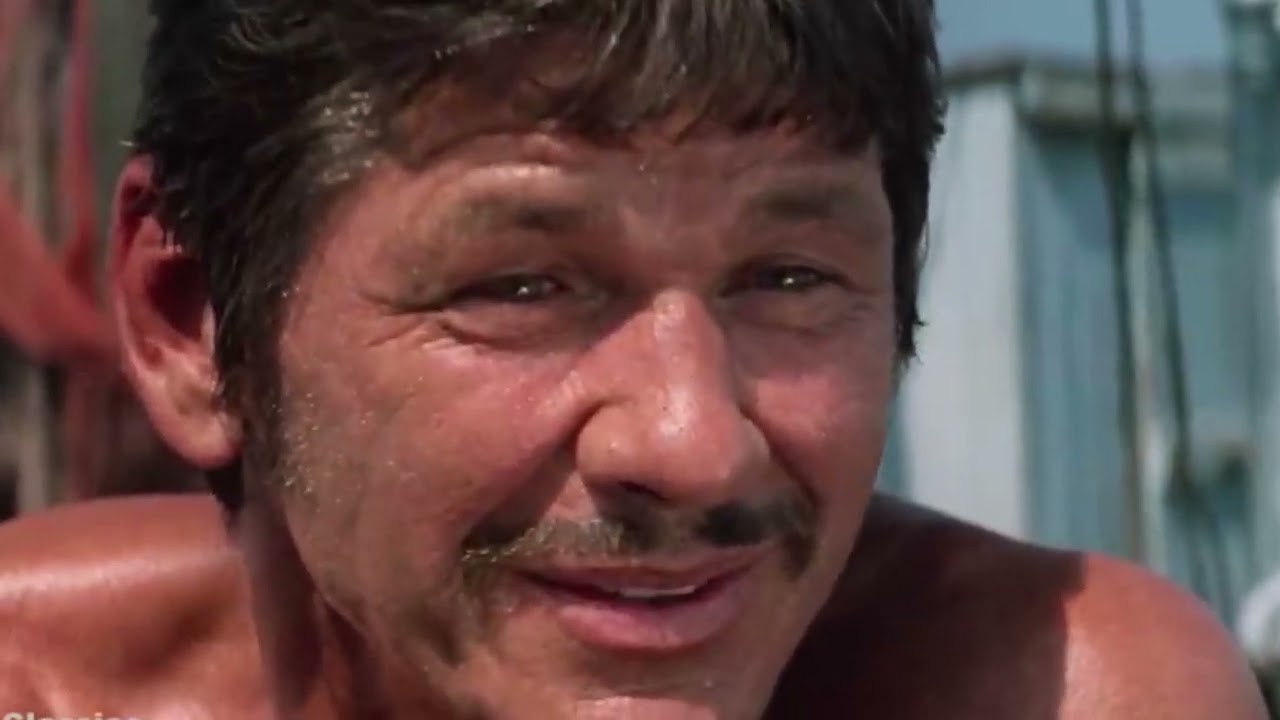 THE CHARLES BRONSON TRIBUTE