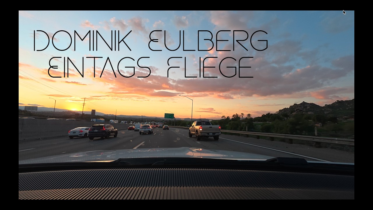 Dominik Eulberg - Eintags Fliege