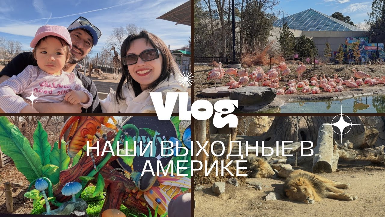 VLOG//Семейные выходные в Денвере 🇺🇸 Cherry Creek и зоопарк | Жизнь в США