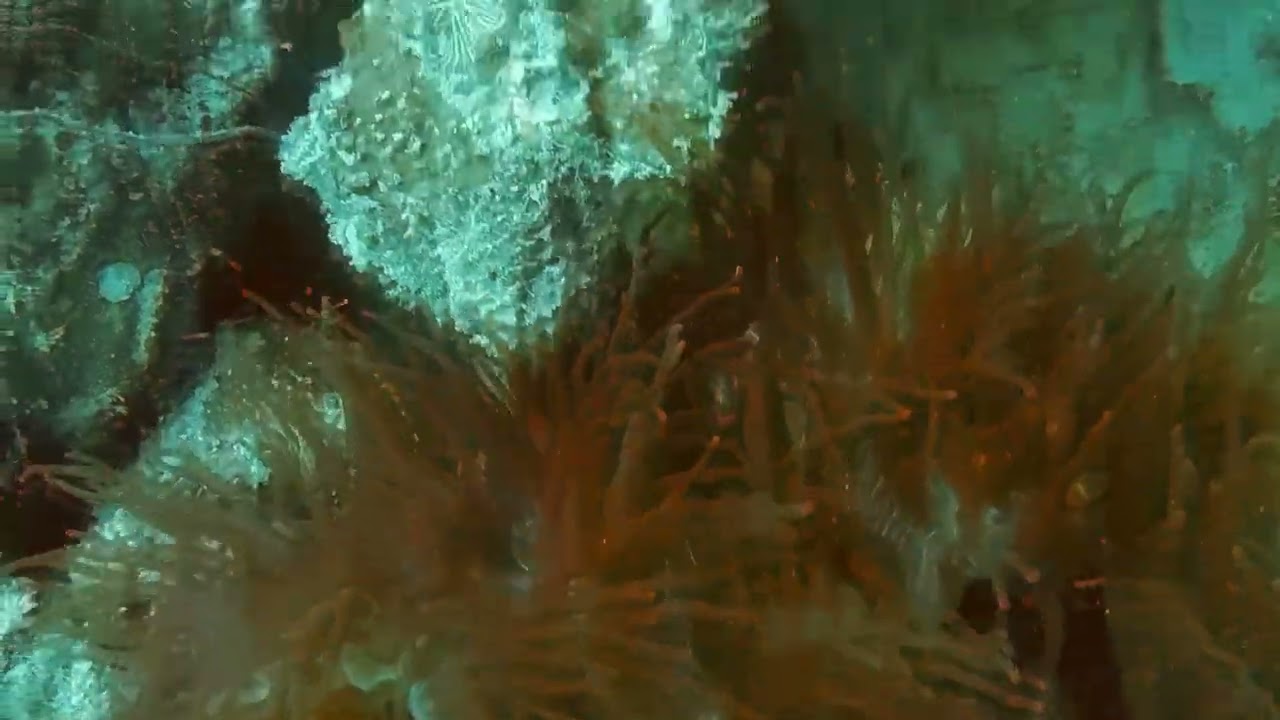 testing barracuda run in El Nido