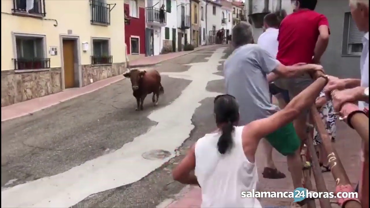 Encierro en Villarino