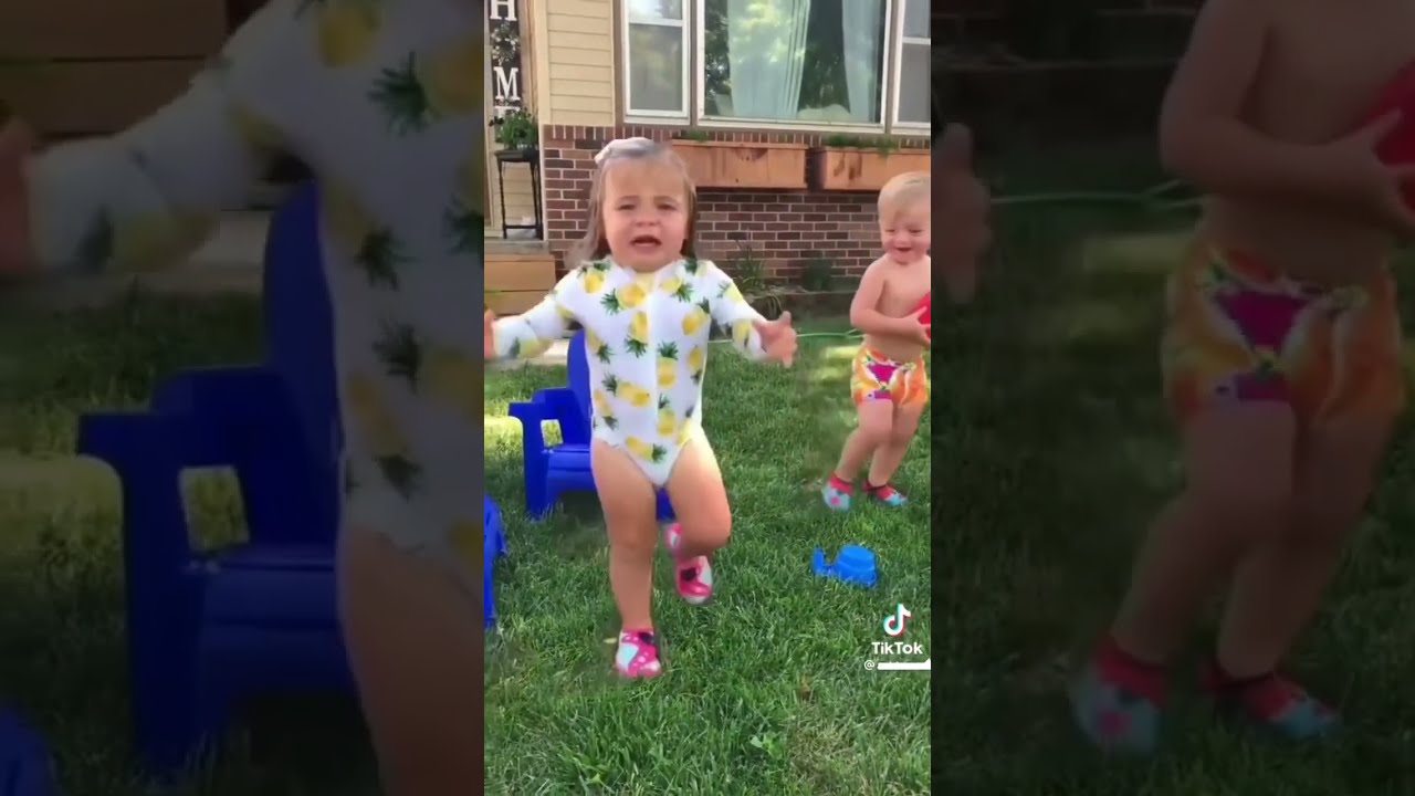 Funny Videos #animales #gracioso #tiktok #viral