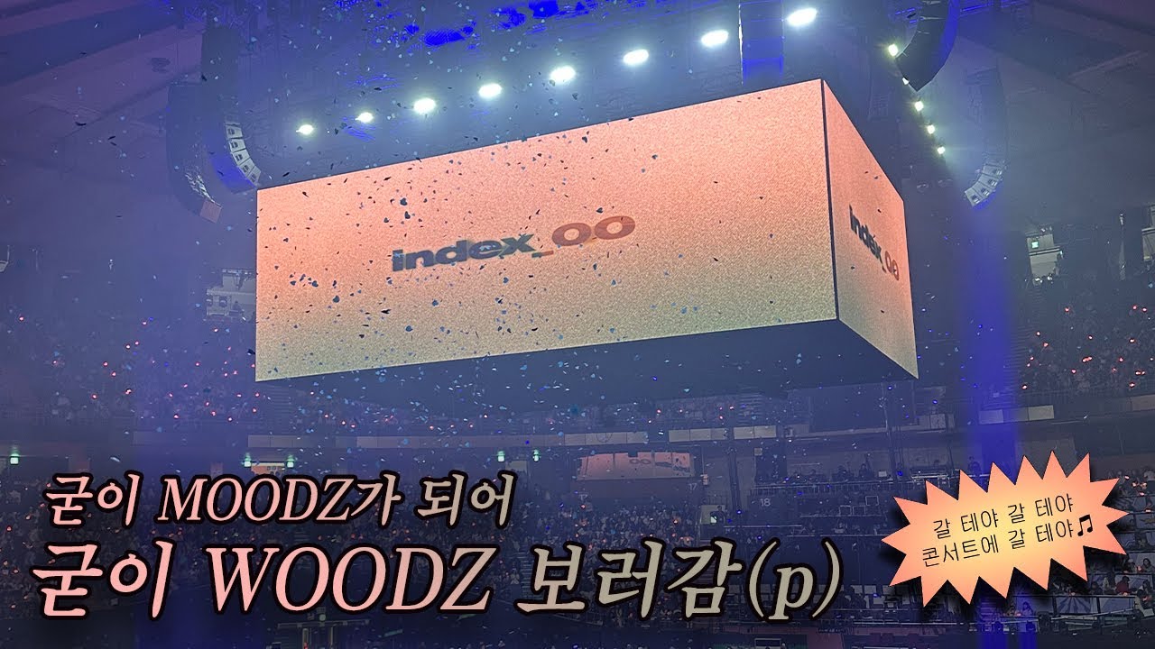 굳이 무즈가 되어 굳이 우즈 콘서트 보러 가는 브이로그
