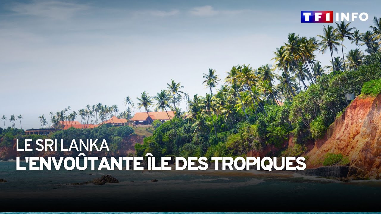 Le Sri Lanka, l'envoûtante île des tropiques
