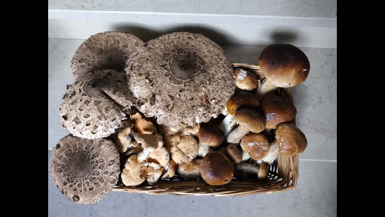 confine tosco-emiliano 2 ott 025