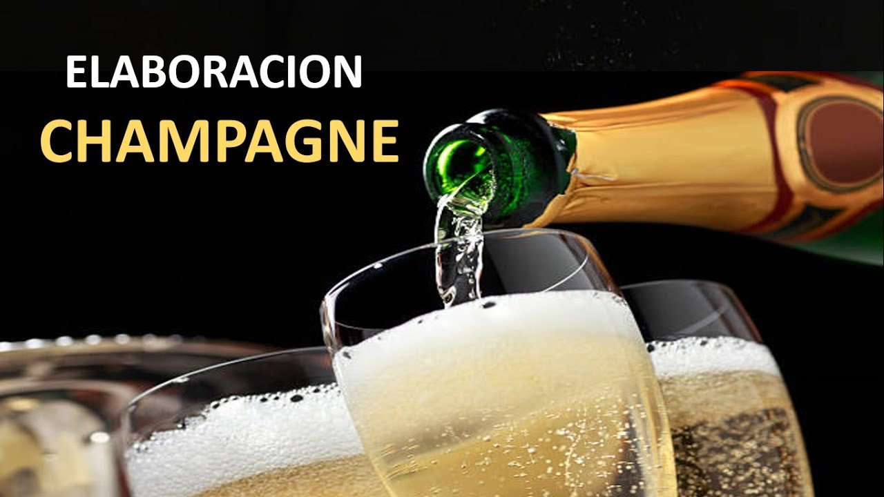 ELABORACION DE CHAMPAGNE (EN CASA)